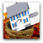 House in birds nest