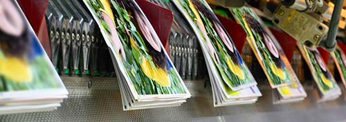 stitching photographs