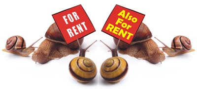 best rental price