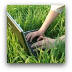independent contractor agreements