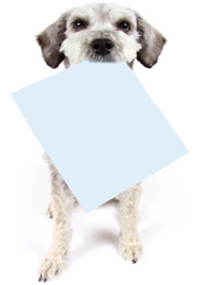 pet owner information form