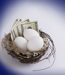 Nest Egg eggs and money in basket