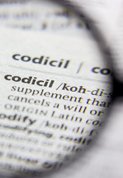 Definition of Codicil codicil definition magnified