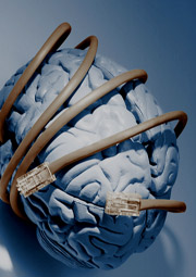 Intellectual Property Assignment brain wrapped with network cables