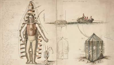 Diving Dress diving dress 1810