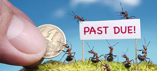 Payment Past Due ants with payment notice