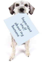 Pet Owner Information Sheet