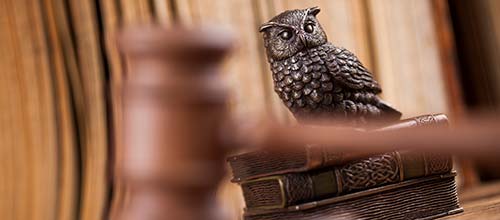 Wise POA owl as symbol of wisdom
